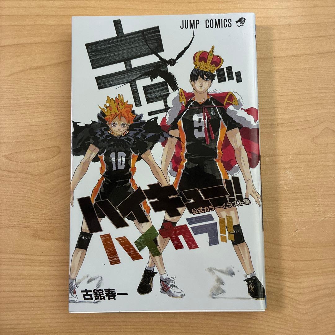 Haikyuu!! Haikara Official Illustration Book with Stickers Volleyball Shonen Jump