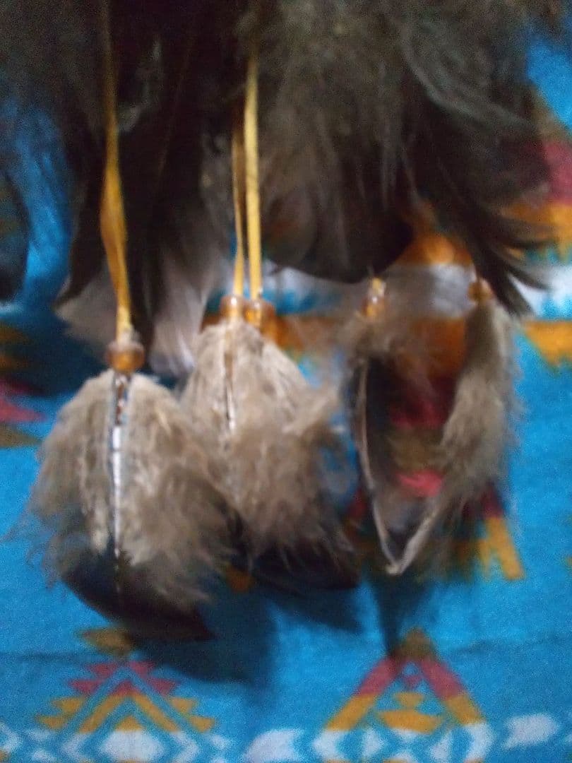 Native American Made Dream Catcher