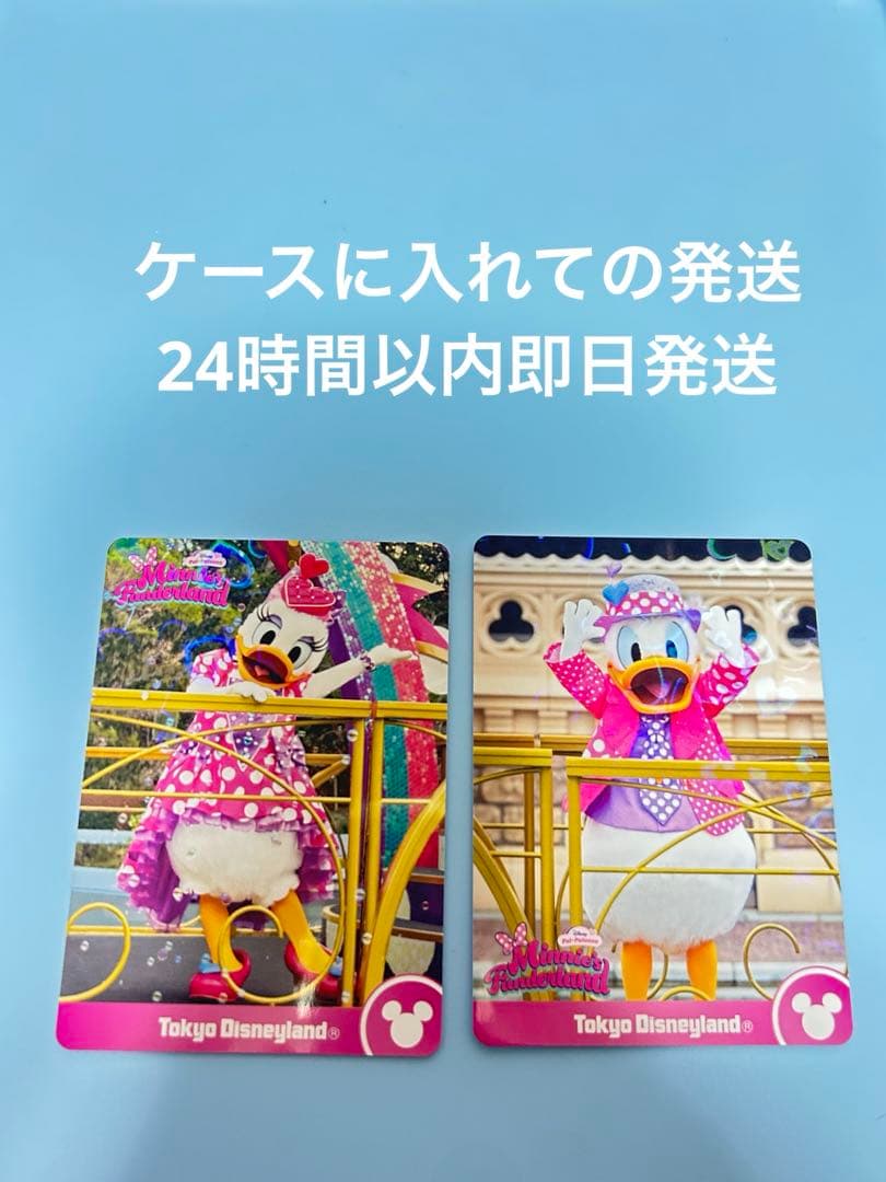 Minnie Fun Land Collection Card Donald Daisy
