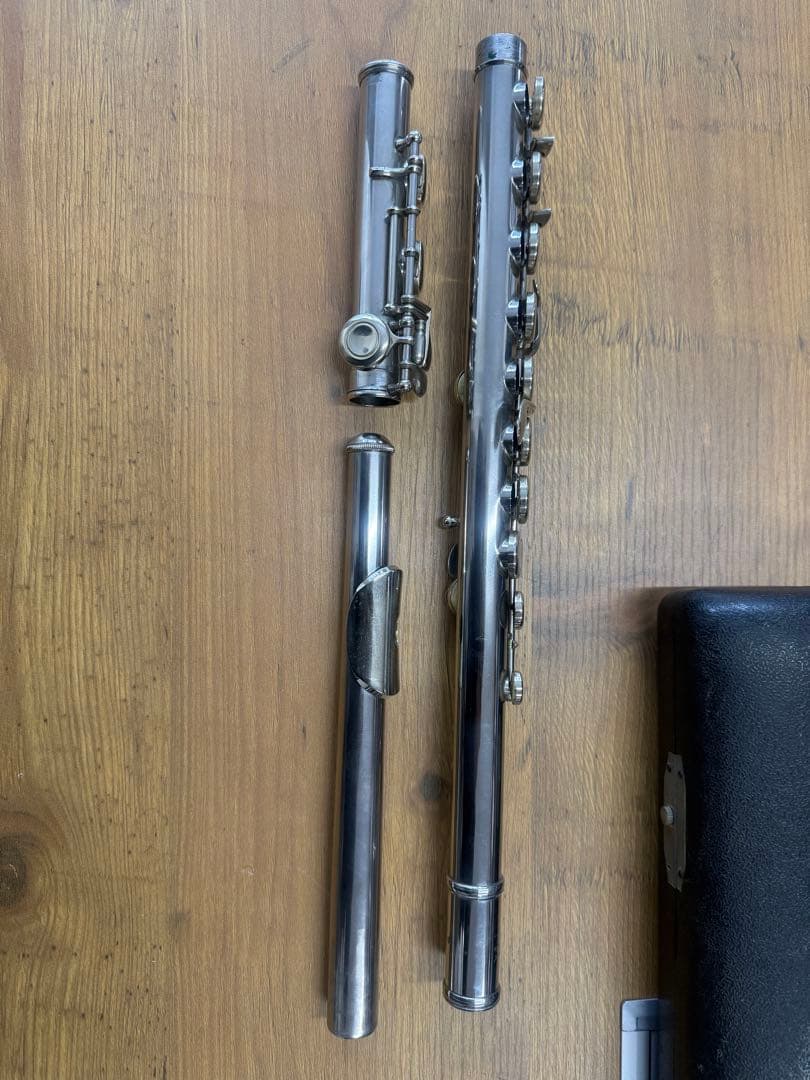 Found Flute SDN-251 Flute Musical Instrument with Case