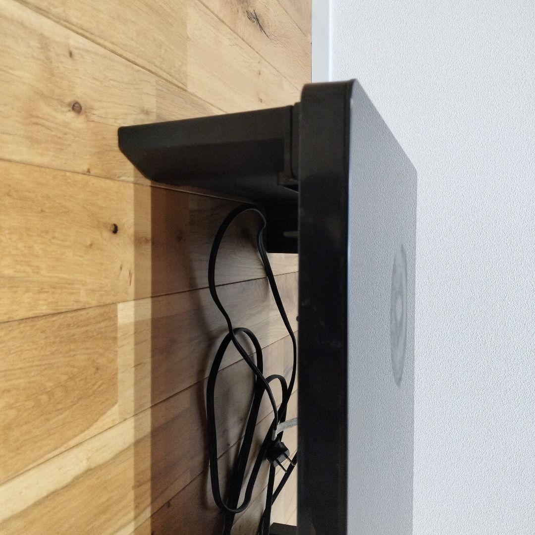 Iris Ohyama 2-Burner IH Cooktop