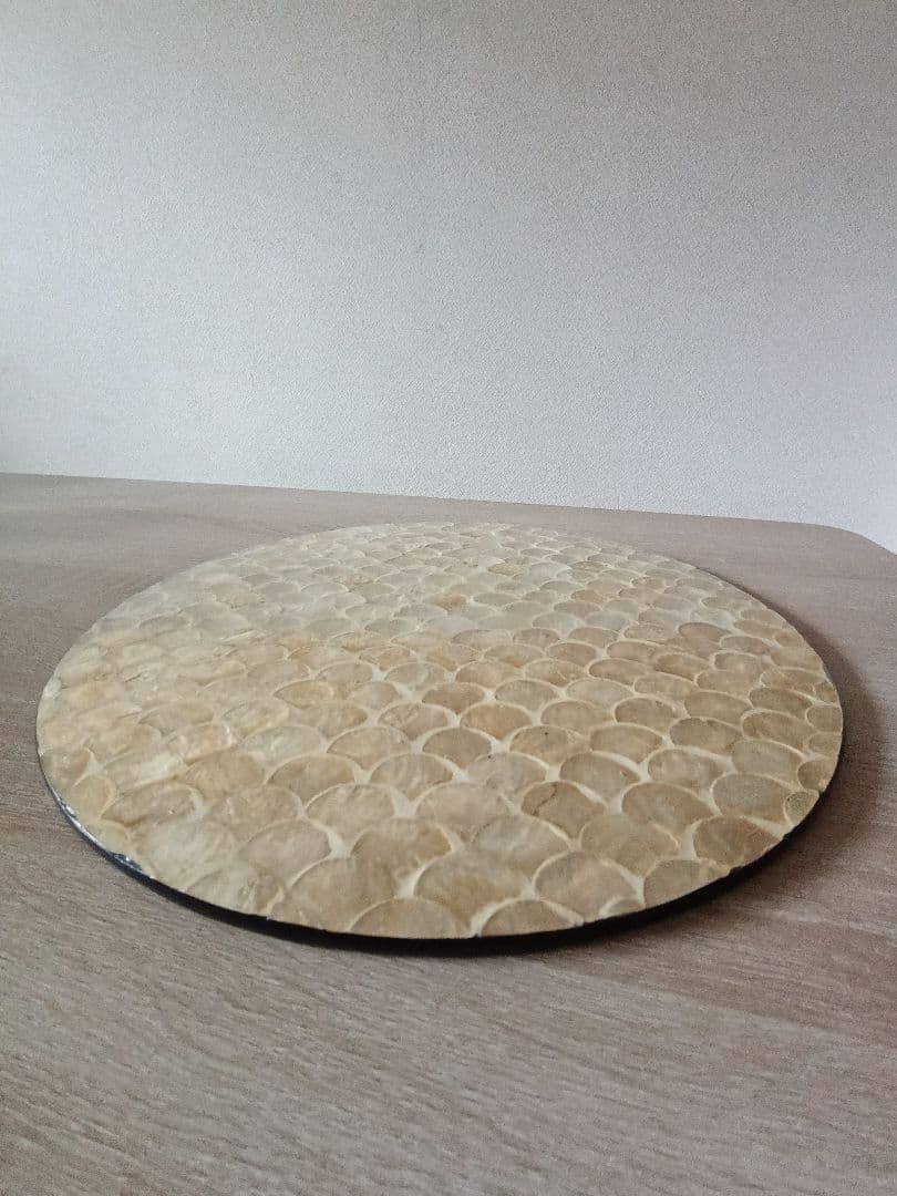 this shell