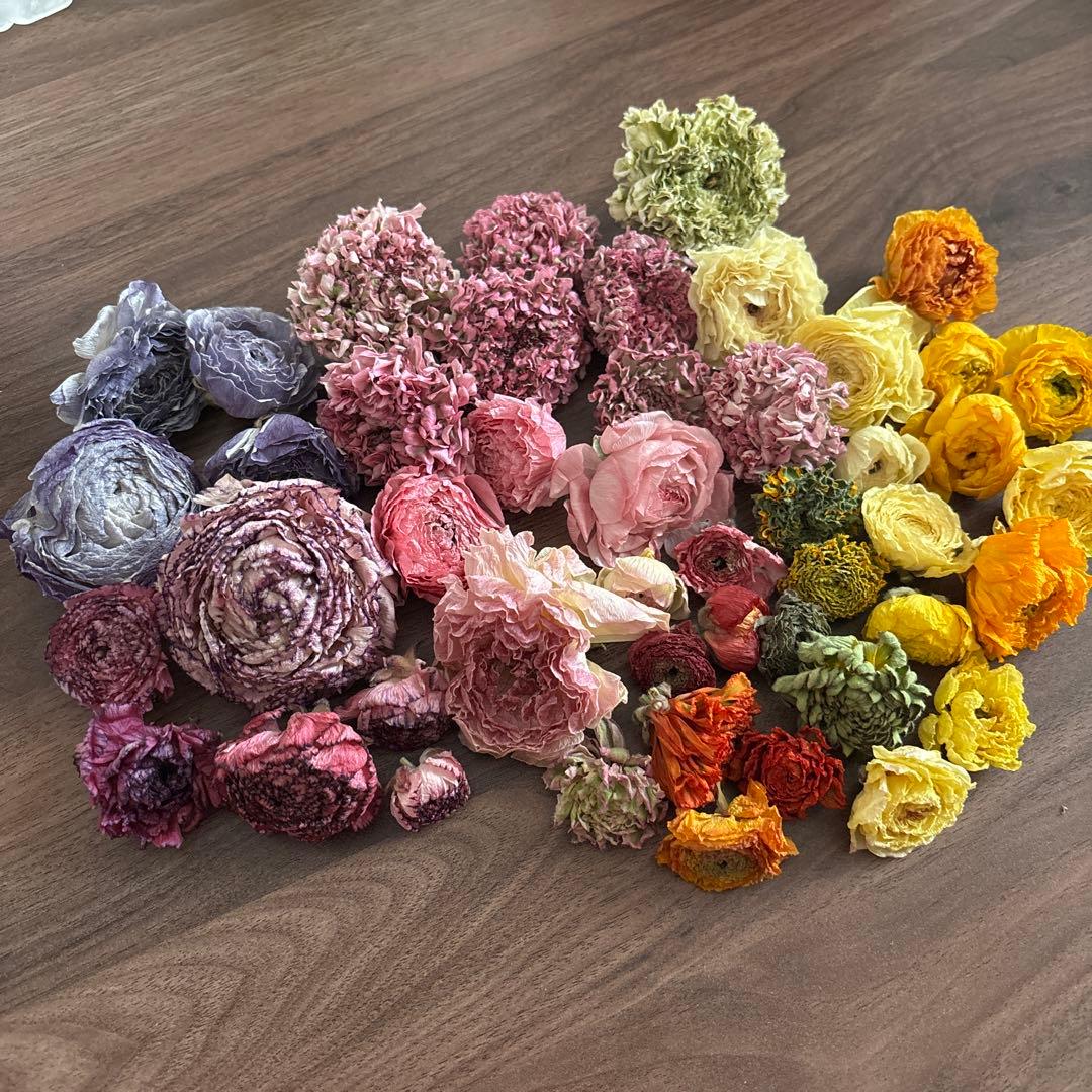 Ranunculus Dried Flower Heads Only Approx. 40 Flowers ① Floral Material