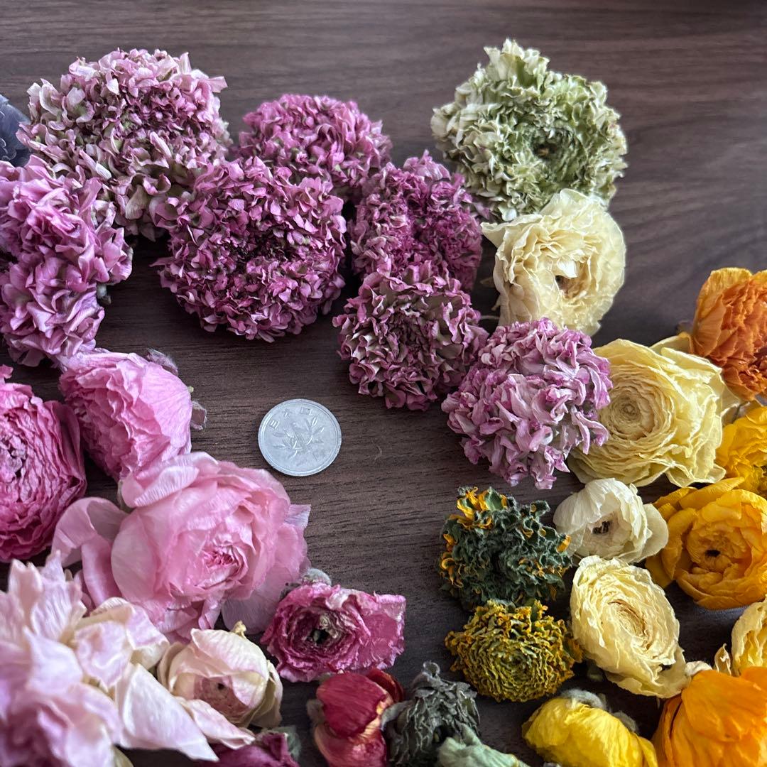 Ranunculus Dried Flower Heads Only Approx. 40 Flowers ① Floral Material