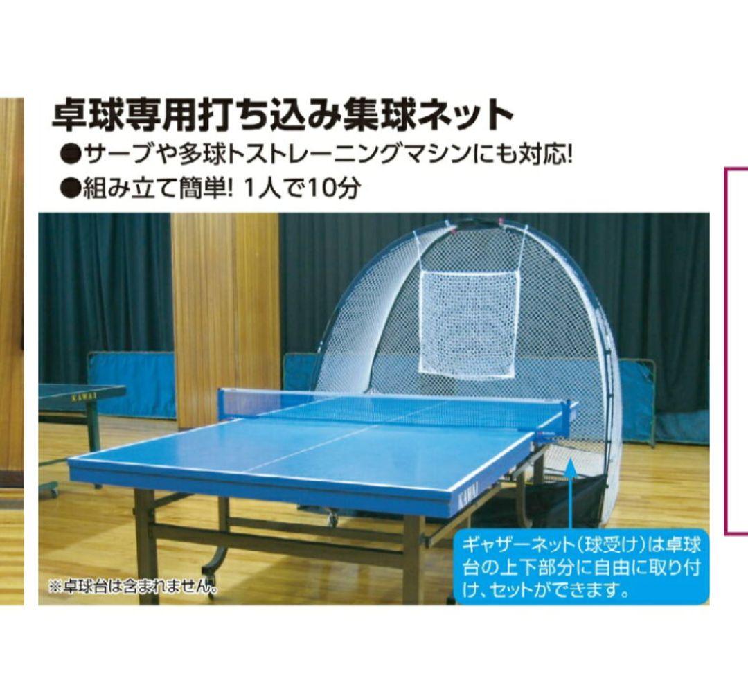 Table Tennis Practice Ball Collection Net