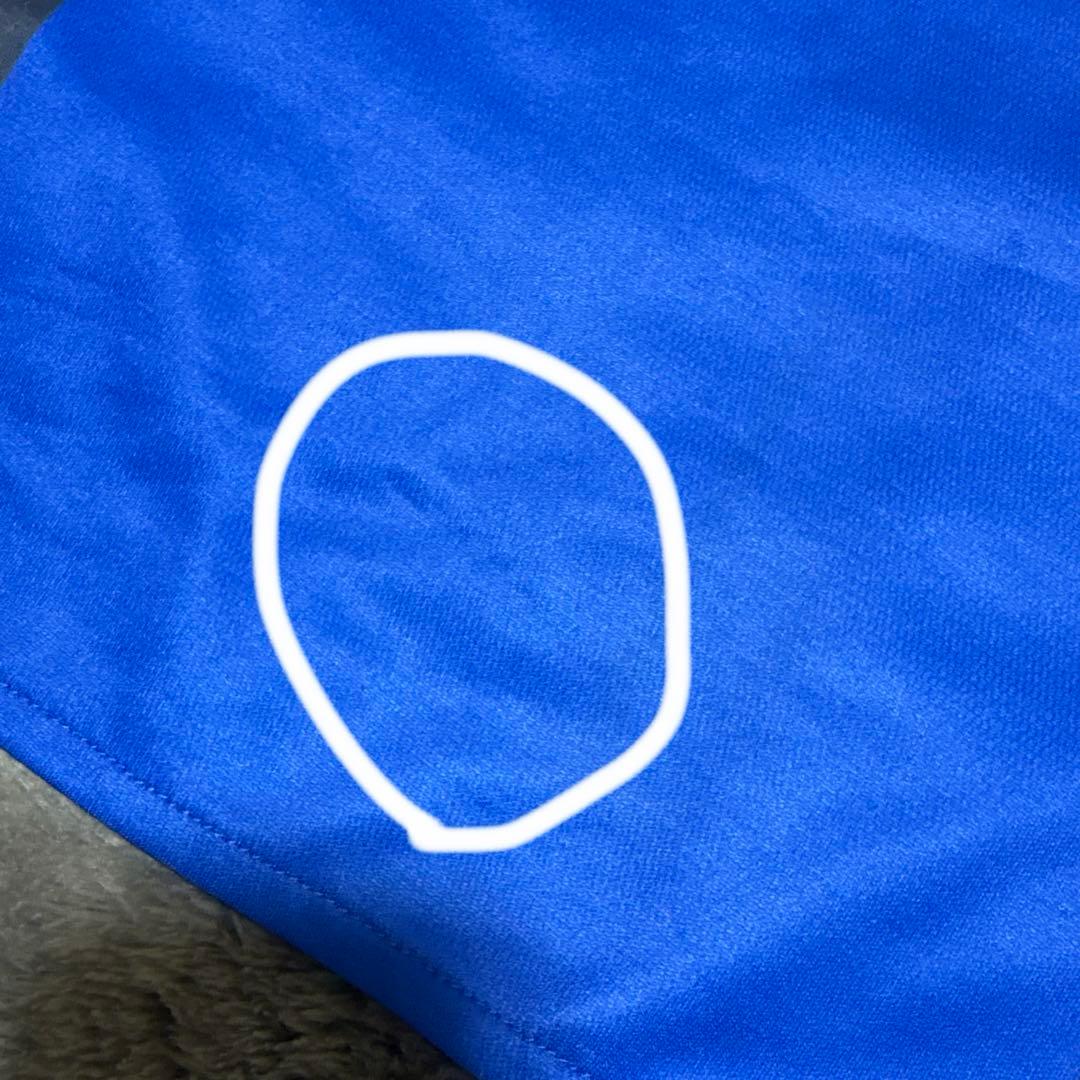 shizuoka blue