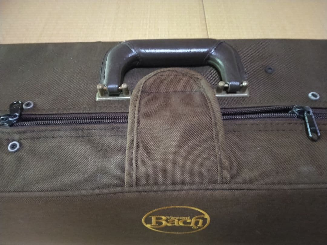 Double case for alto trombone and tenor bass trombone