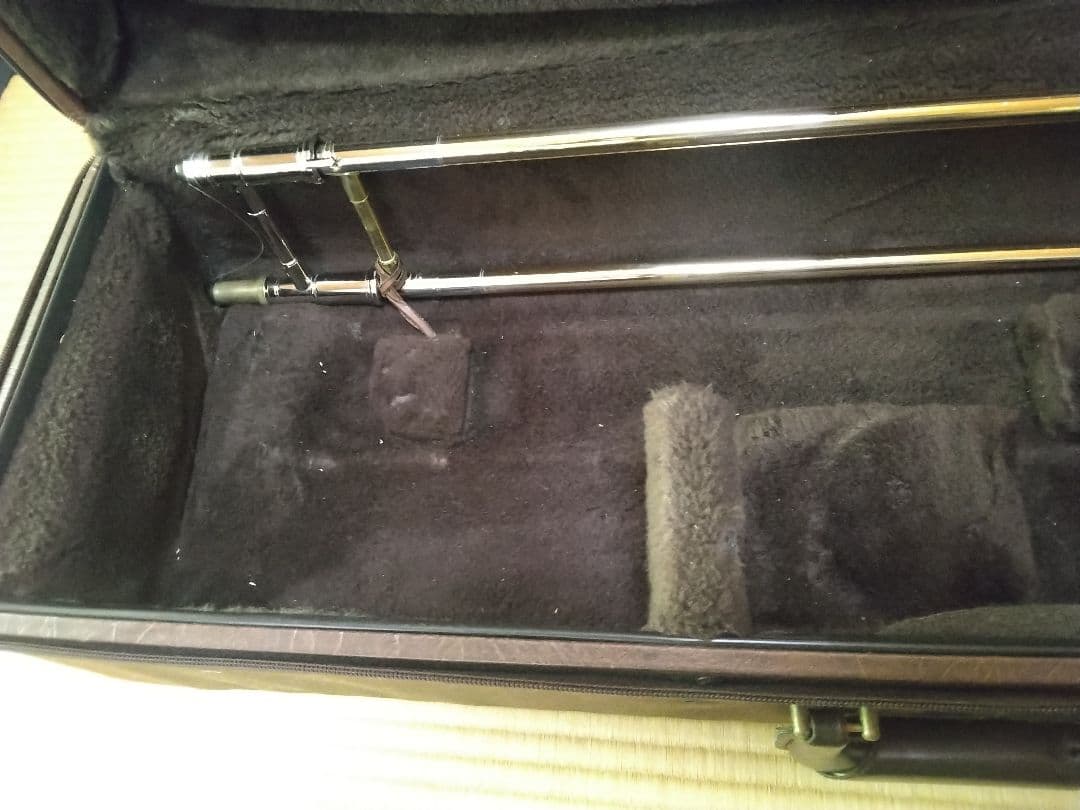 Double case for alto trombone and tenor bass trombone