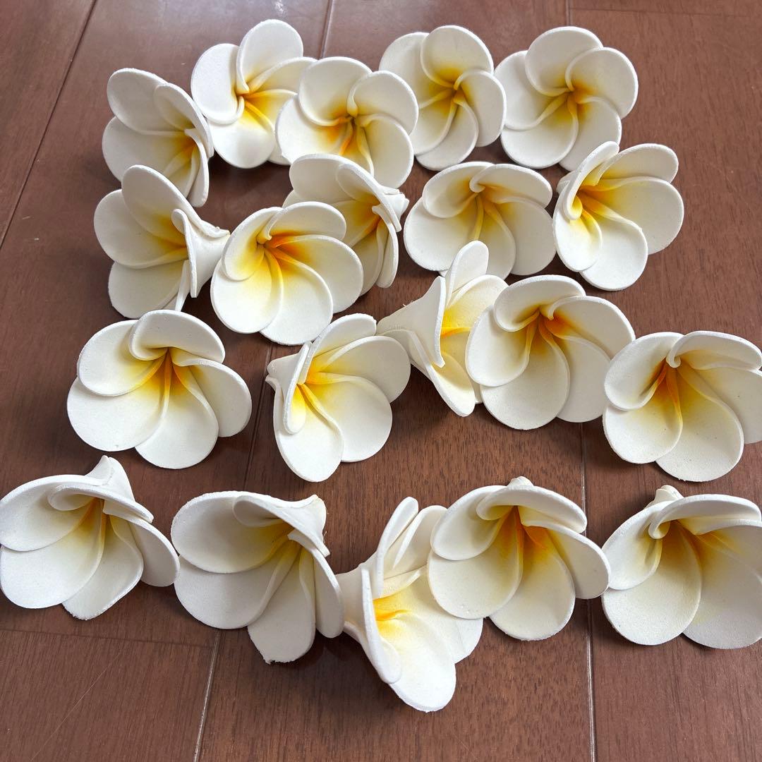 Plumeria Interior ① Bali Hawaii