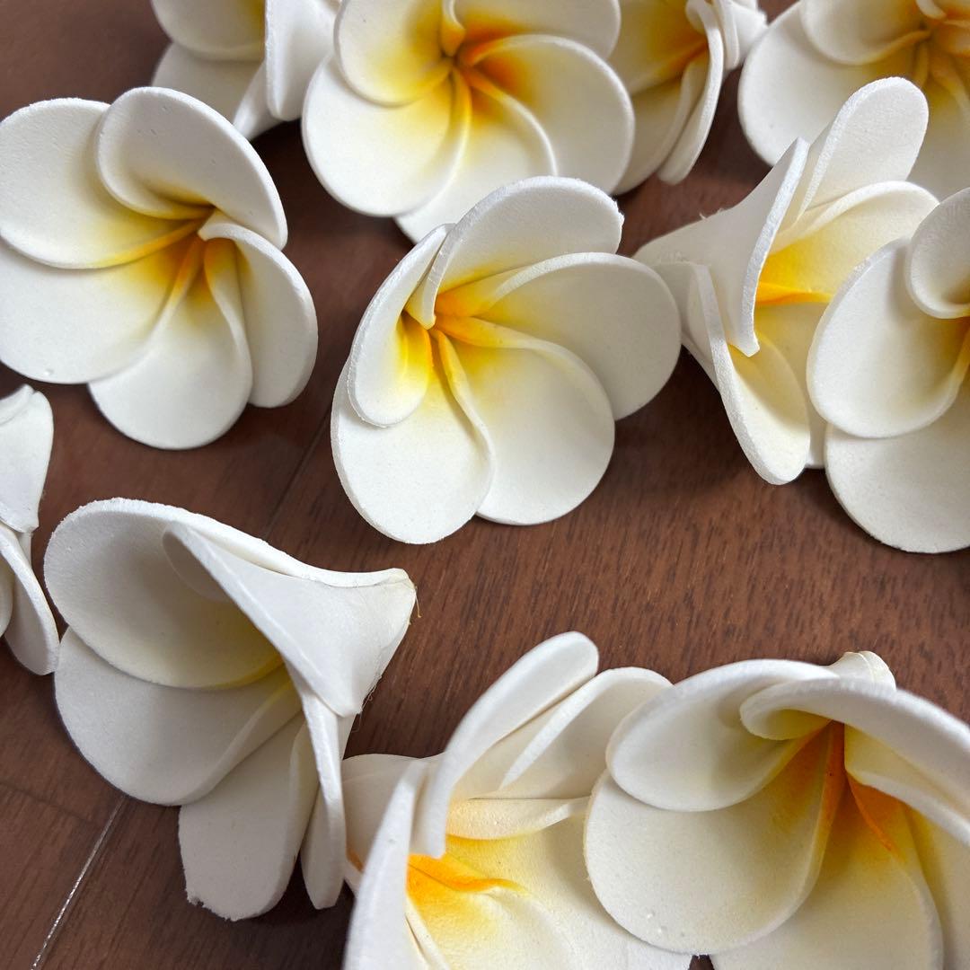 Plumeria Interior ① Bali Hawaii