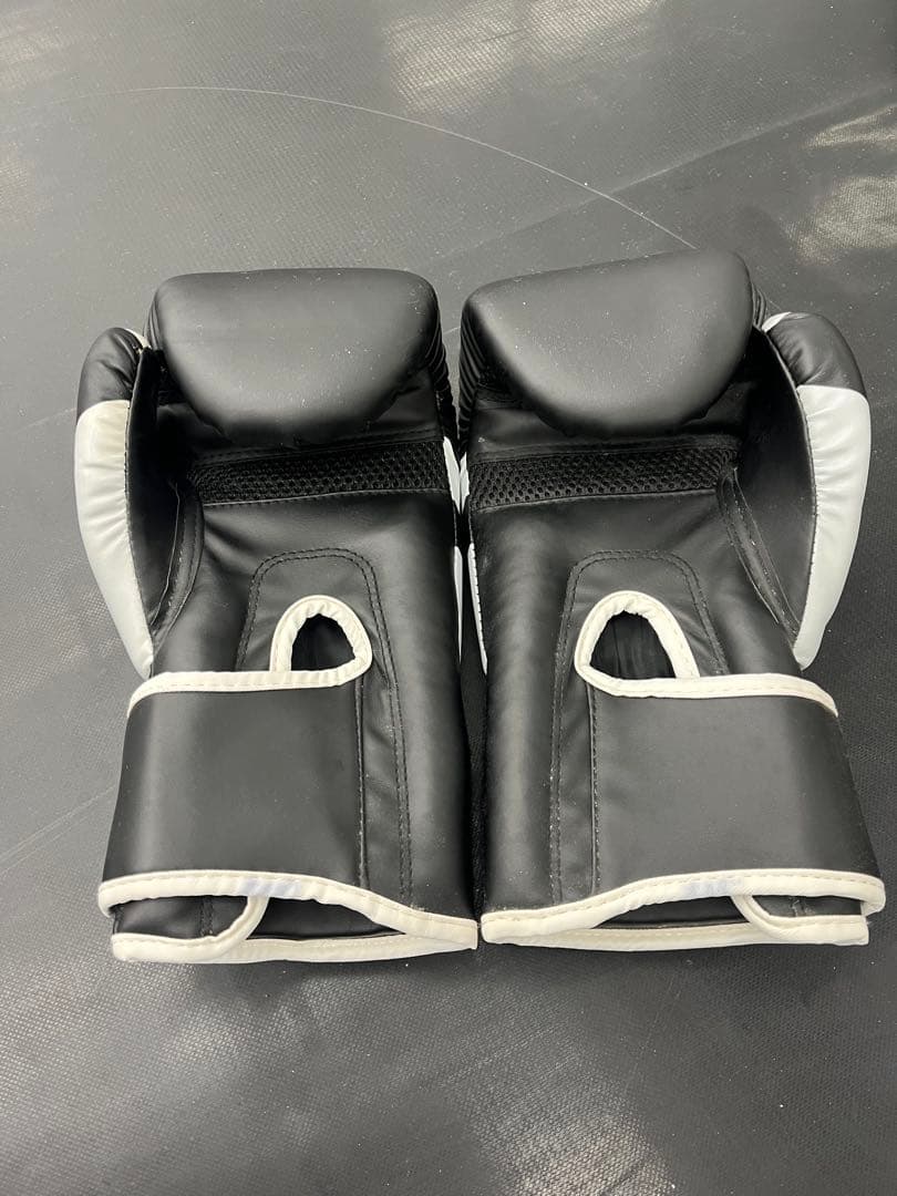 TRAN Boxing Gloves 10oz Black/Gray Used