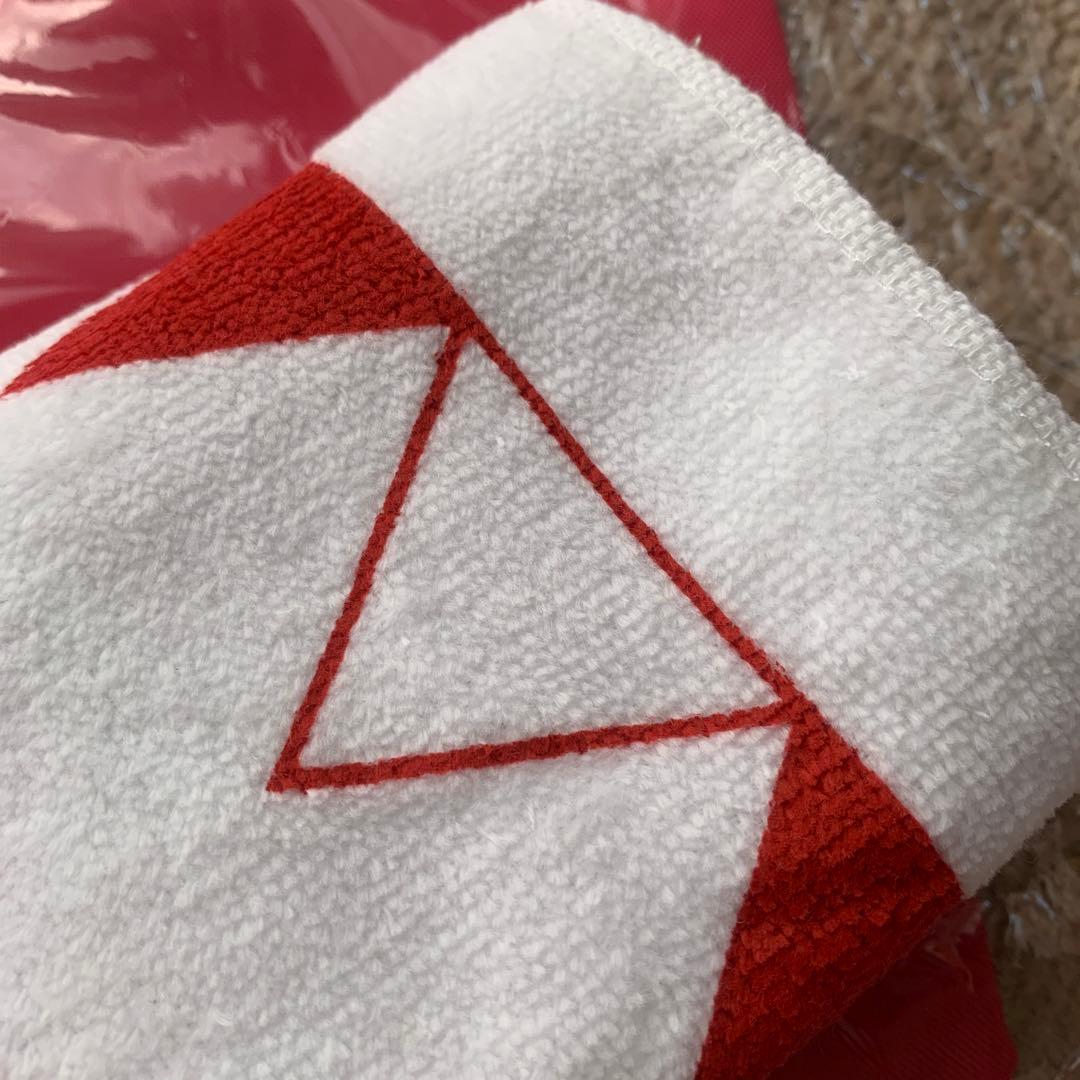 Commemorative Event Backpack and Muffler Towel Set
