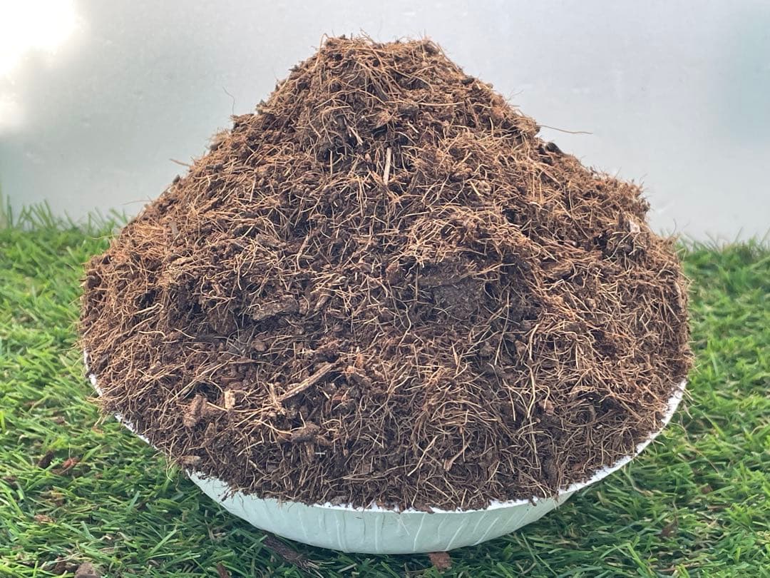 Coco peat, approx. 3L