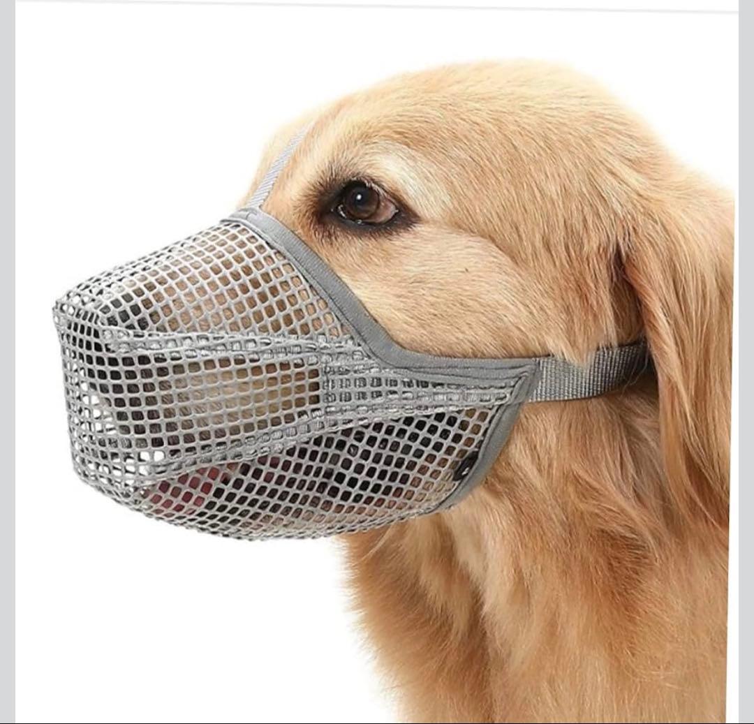 【convenient versatile】the